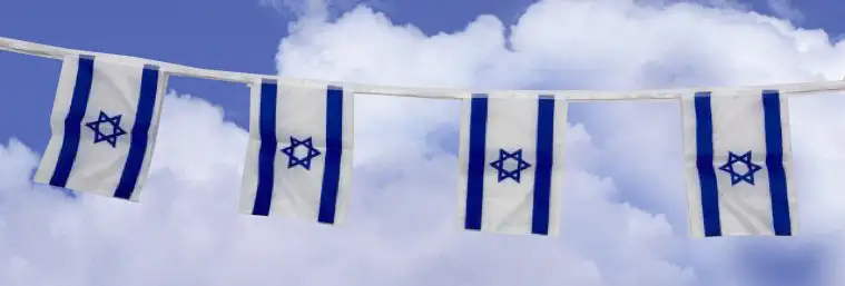 שרשרת דגל לאום בד 25 מטר 30X45 ס