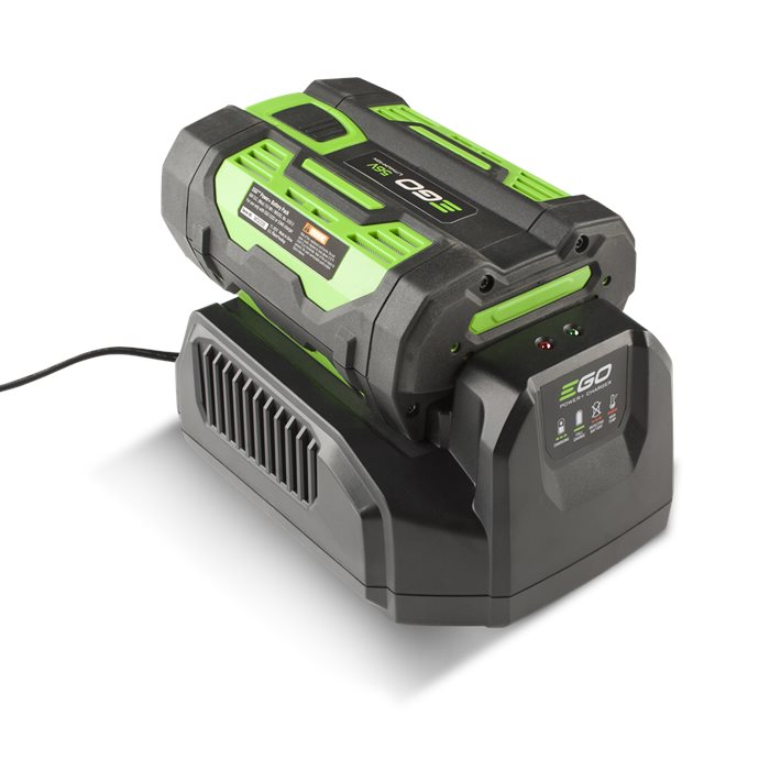 מטען סטנדרט Ego Power-56V CH2100E 210W 3A