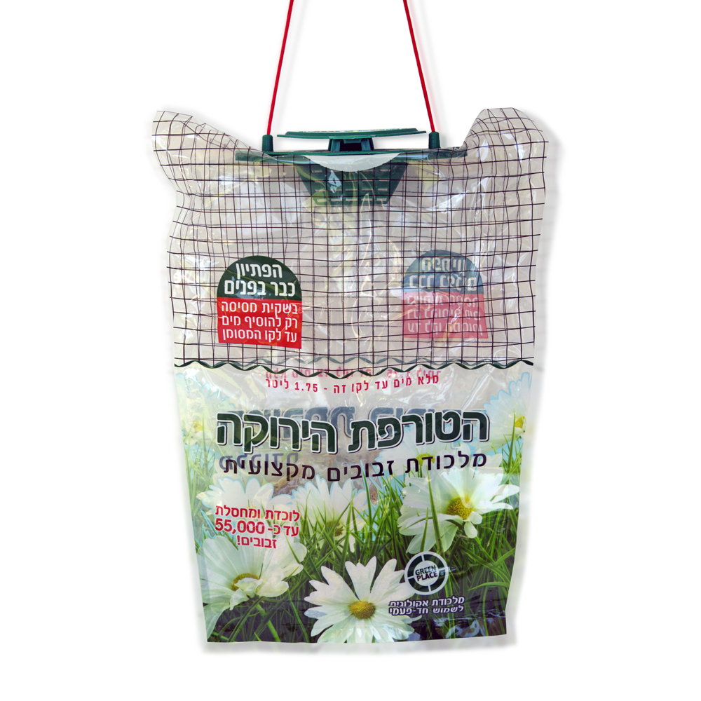 מלכודת זבובים הטורפת הירוקה