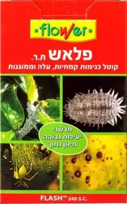 פלאש כנימות 10 מ