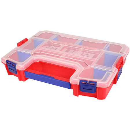 אורגנייזר ארגונית 