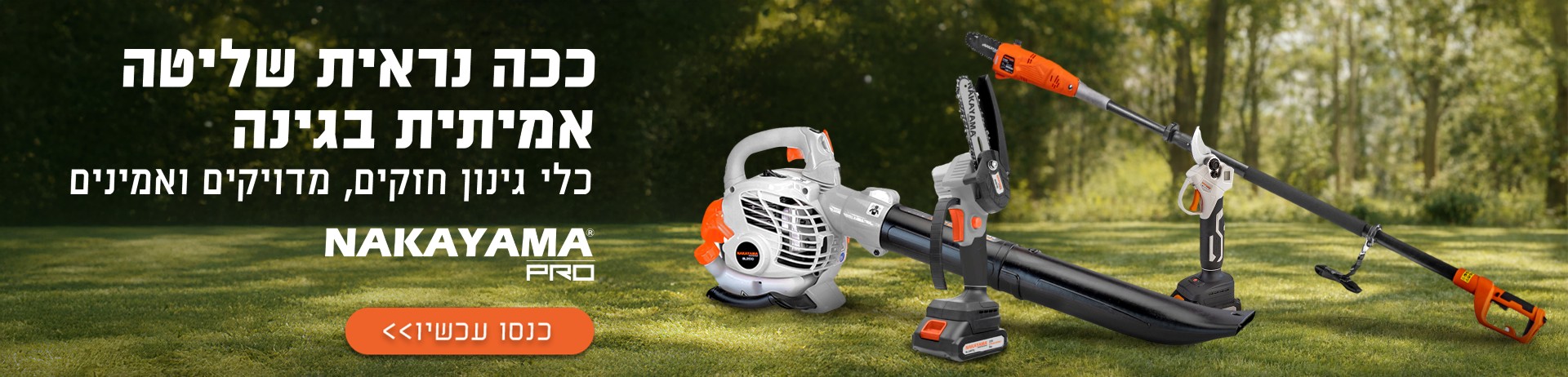 Thumbnail NAKAYAMA Desck